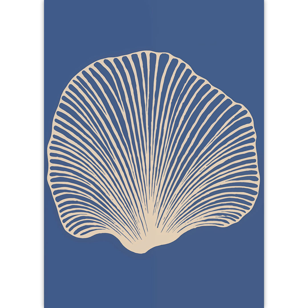 Seashell Lines Poster