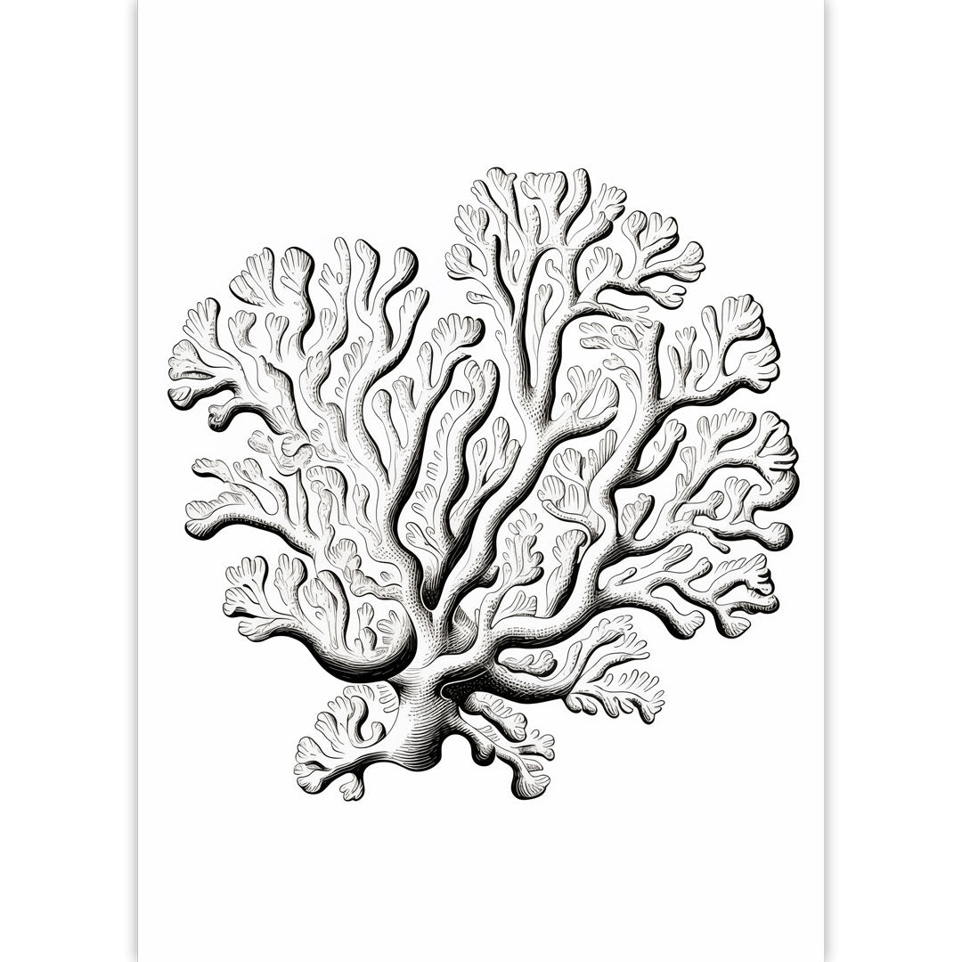 Coral Drawing Poster