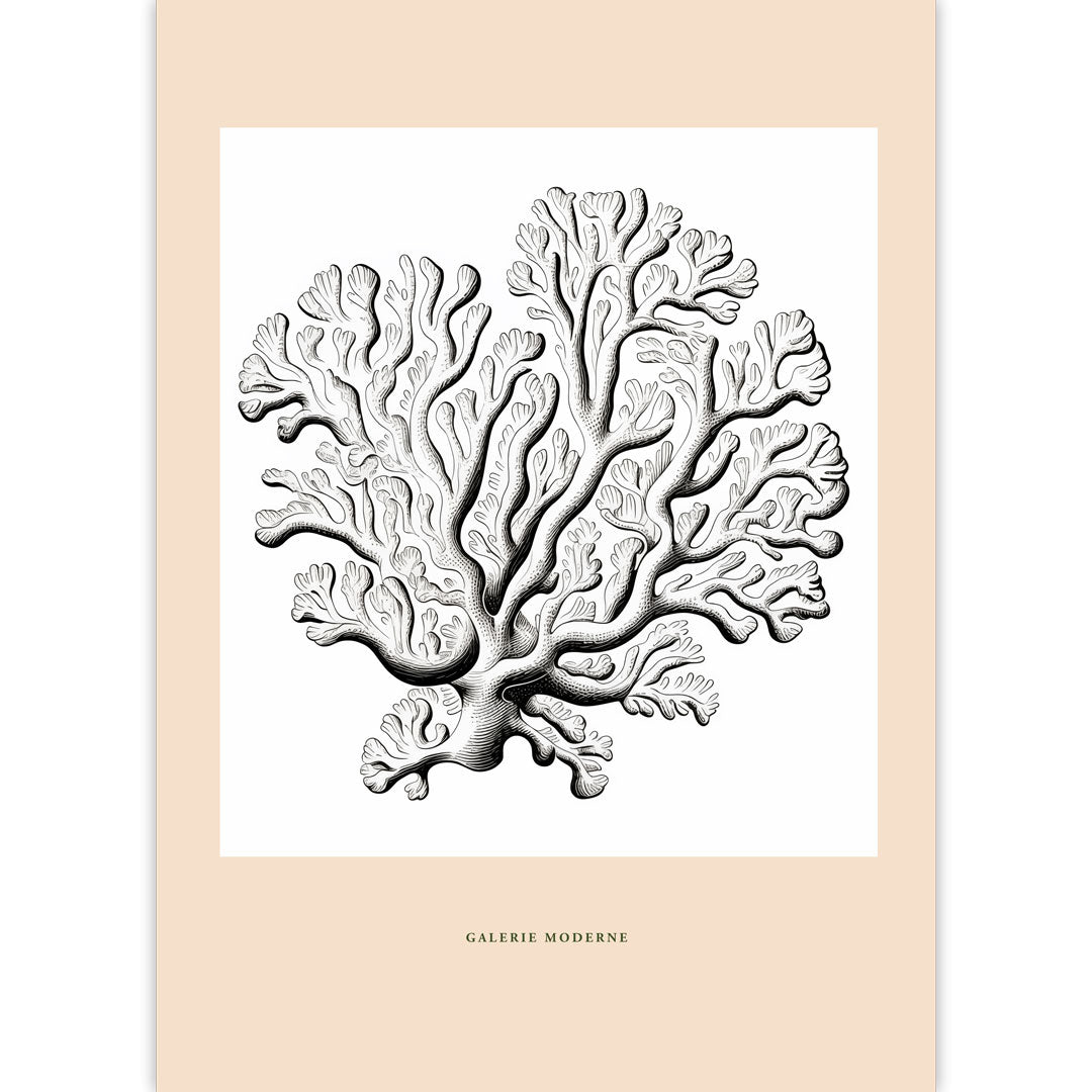 Intricate Coral Design Poster