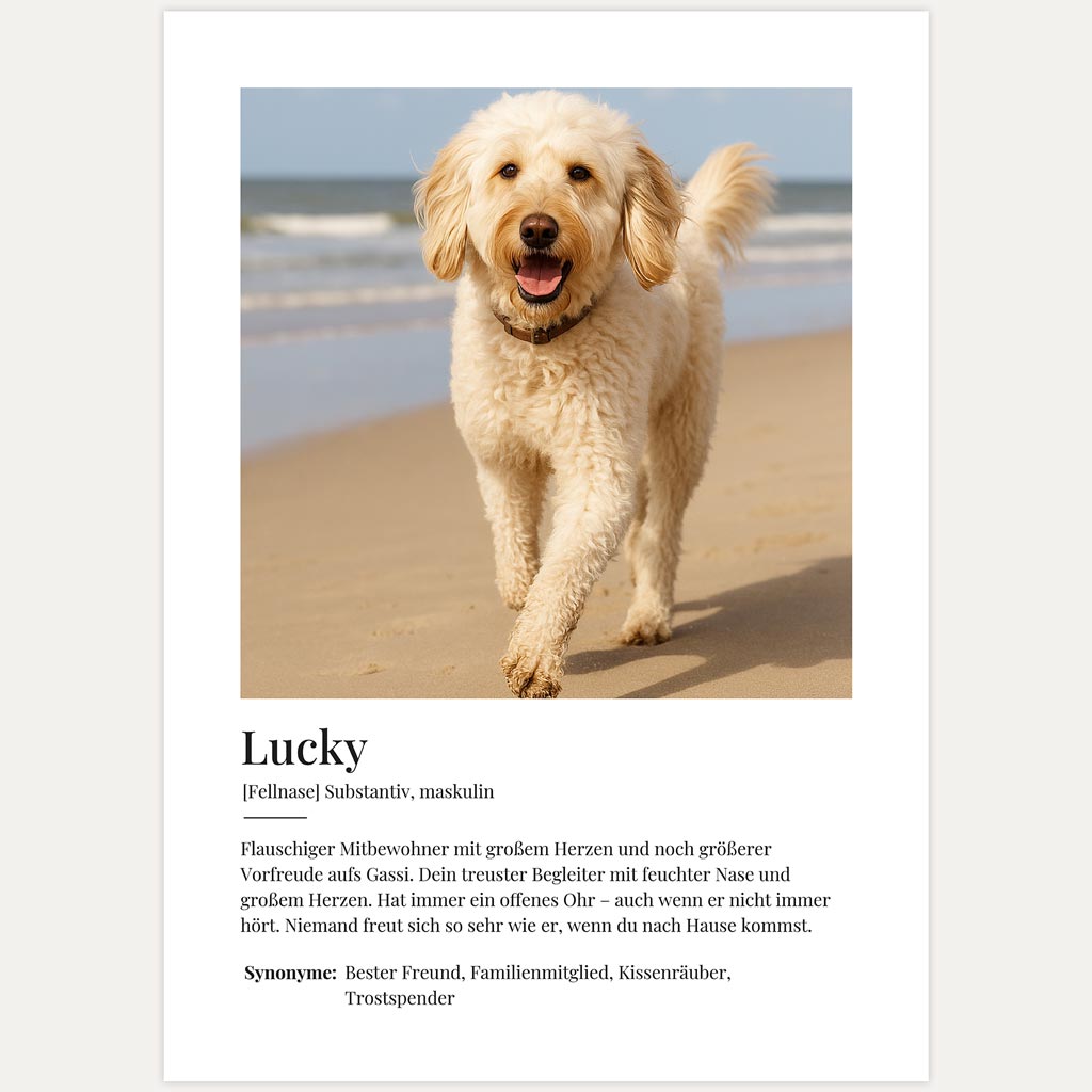 Fotoposter Hund männlich mit Name – personalisierbar und modern
