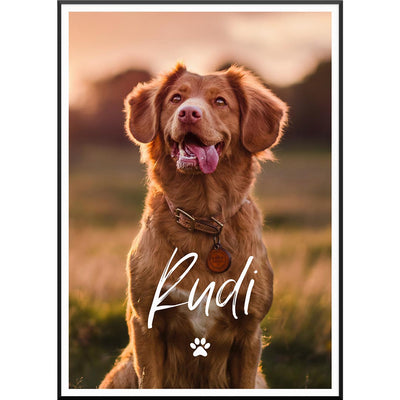 geschenk für hundebesitzer personalisiert